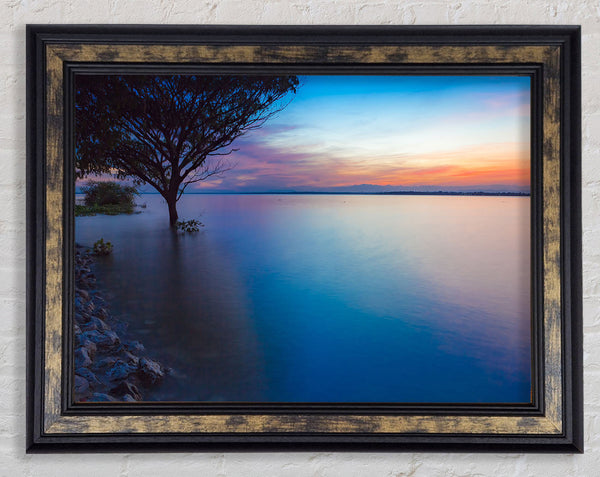 Tree in the river Framed Print