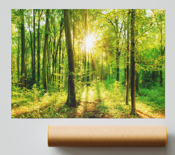 Green Forest Beauty Giclee Print