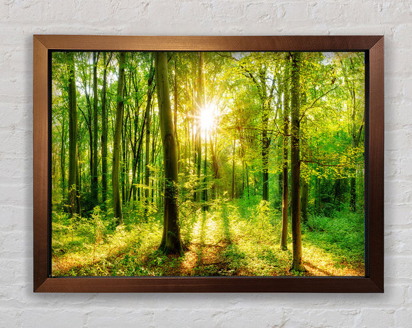 Green forest beauty Framed Print