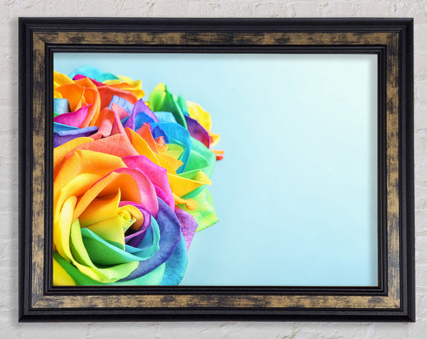 Rose colour rainbow Framed Print