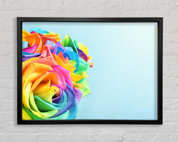 Rose colour rainbow Framed Print