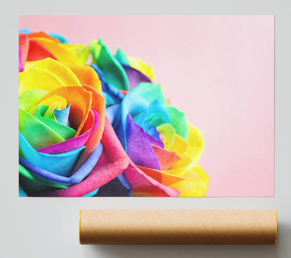 Rainbow Closeup Rose Print