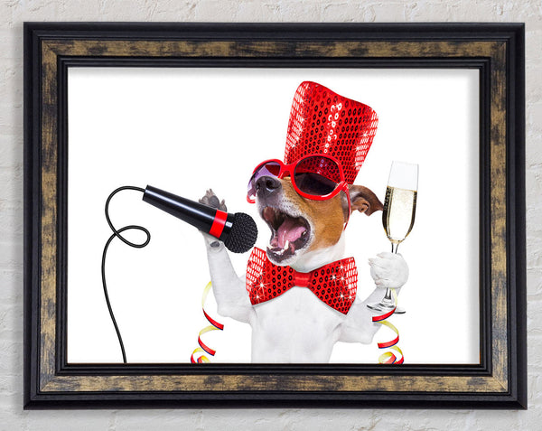Jack russell kareoke Framed Print