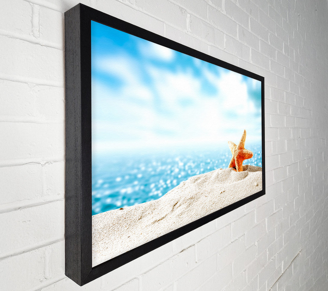 A Canvas Print of starfish on the beach Canvas Print