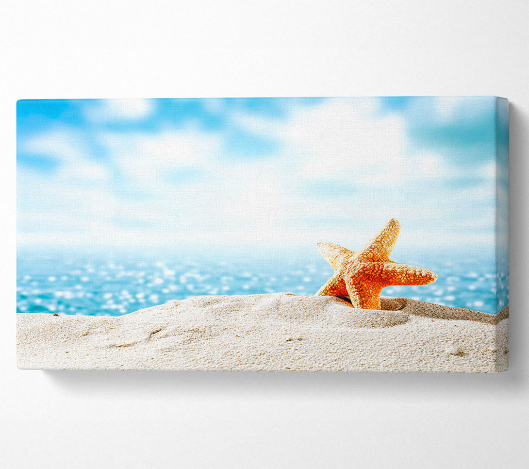  A Canvas Print of starfish on the beach Canvas Print