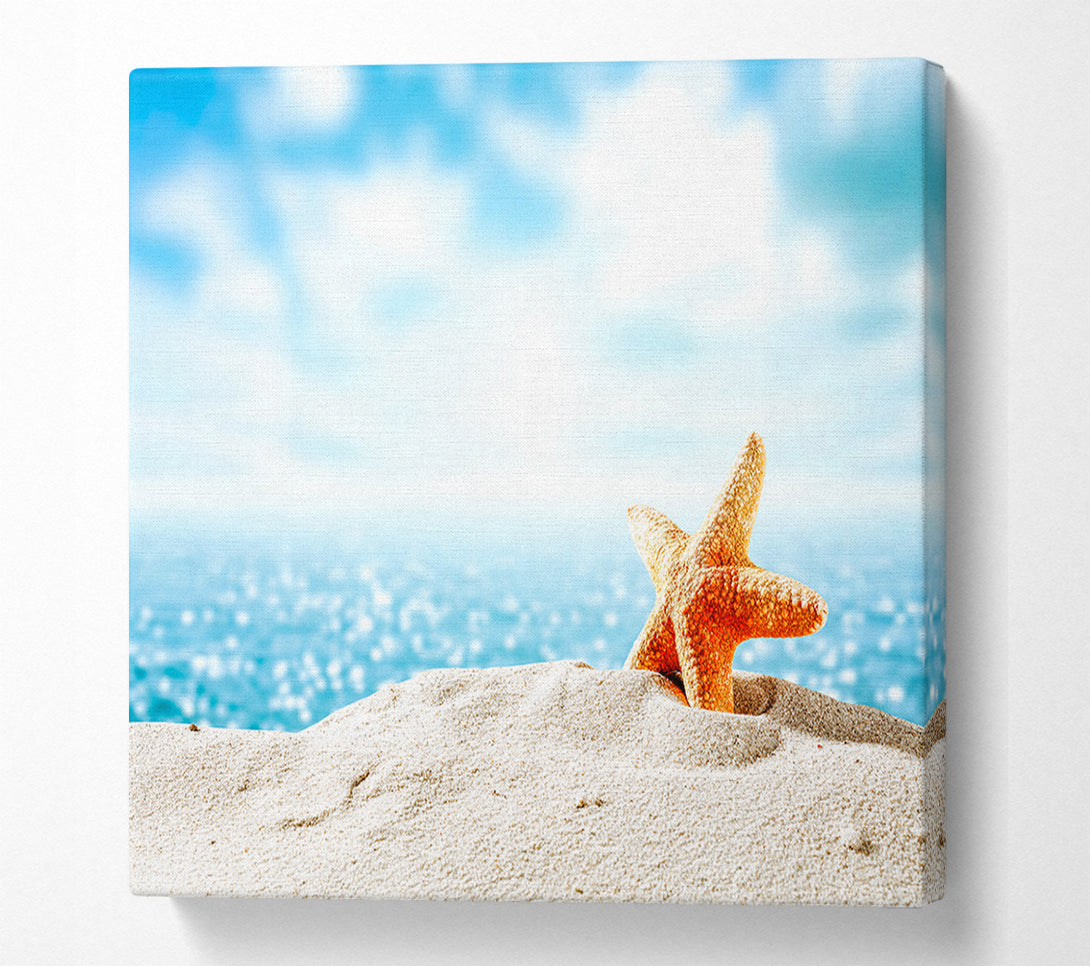  A Canvas Print of starfish on the beach Canvas Print