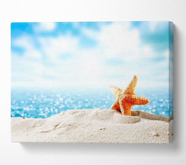  A Canvas Print of starfish on the beach Canvas Print