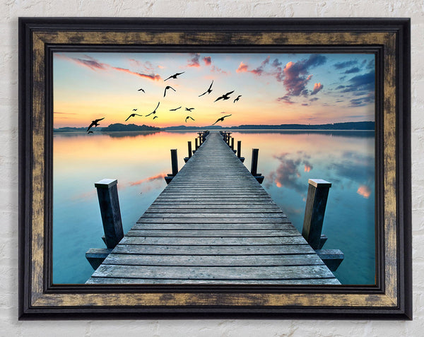 Bridge into the lake and seagulls Framed Print