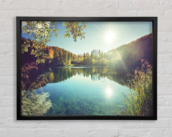 View of the lake through the branches Framed Print