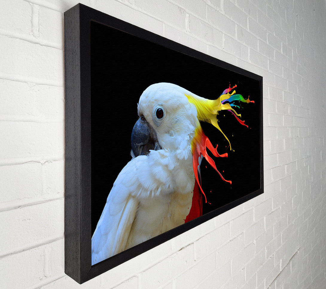  A Canvas Print of cockatoo colour splash Canvas Art