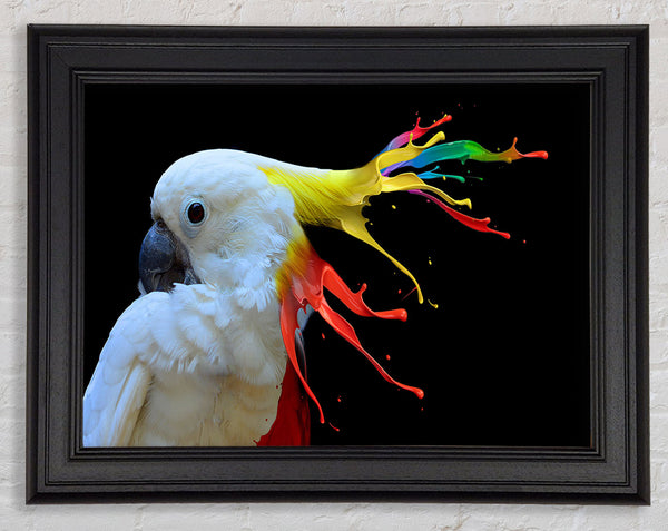 cockatoo colour splash Framed Print