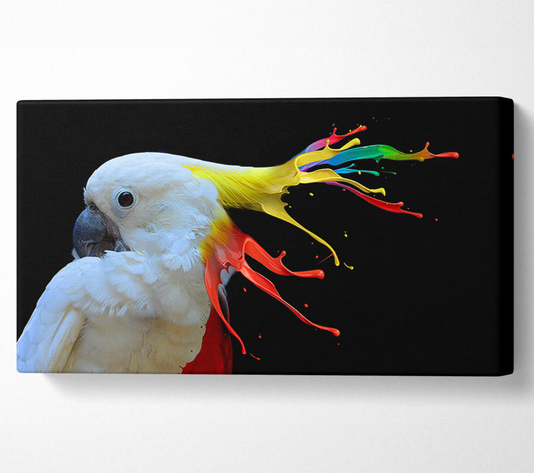  A Canvas Print of cockatoo colour splash Canvas Art
