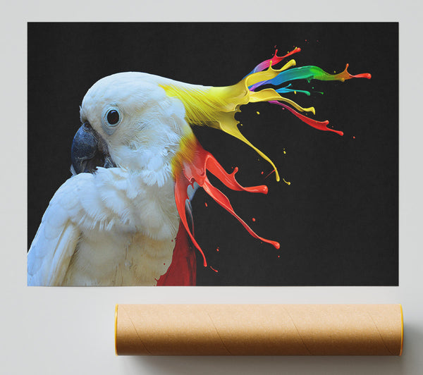 Cockatoo Colour Splash Poster