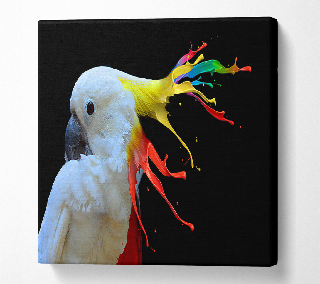  A Canvas Print of cockatoo colour splash Canvas Art
