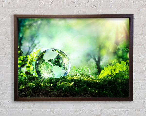 Droplet of the earth Framed Print