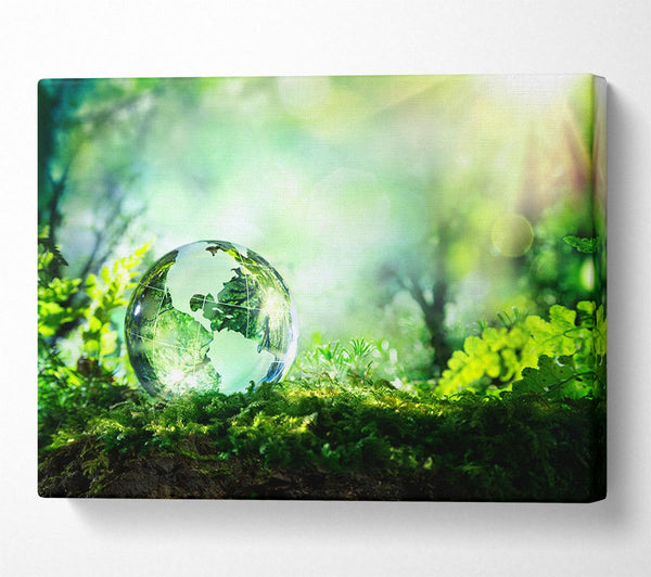  A Canvas Print of Droplet of the earth Canvas Print