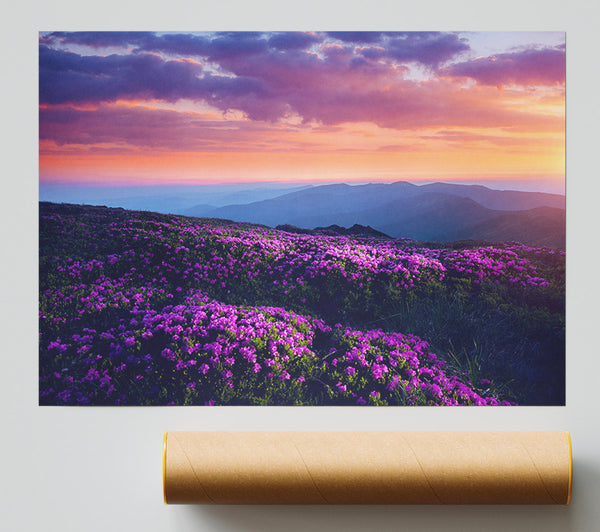 Purple Meadow Mountains Print