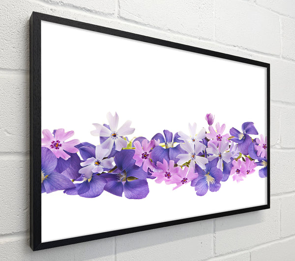 Pink and violet flowers laid out