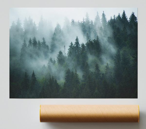 Mist In The Dense Woods Print