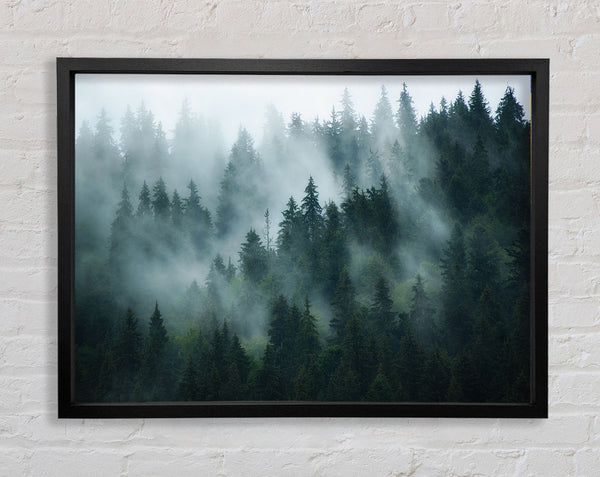Mist in the dense woods Framed Print