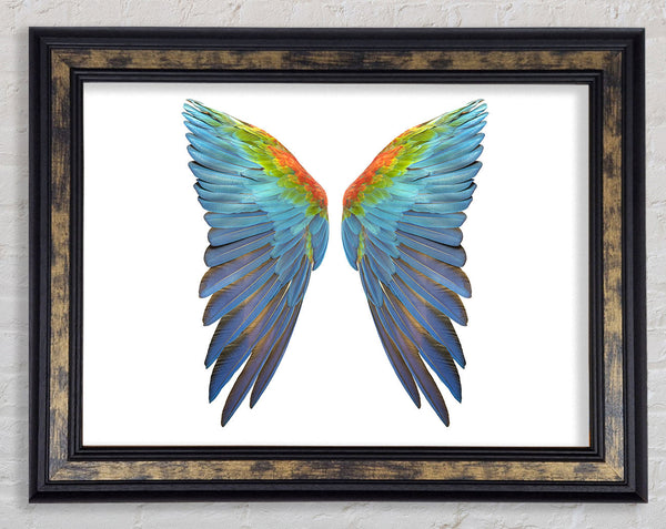 Parrot Vibrant wings Framed Print