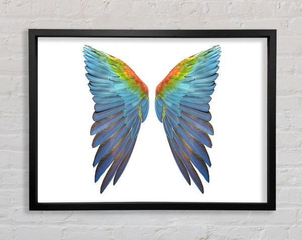 Parrot Vibrant wings Framed Print