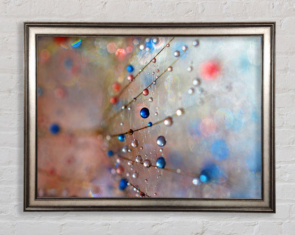 Droplets of colour on a flower Framed Print