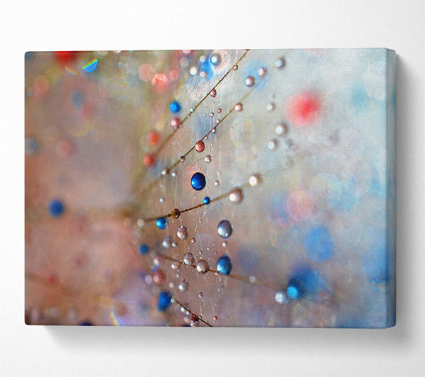  A Canvas Print of Droplets of colour on a flower Canvas Art