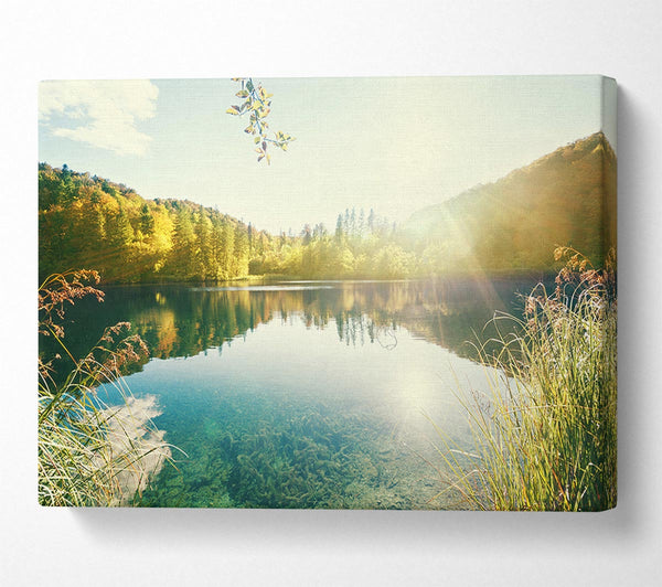  A Canvas Print of Sun shining on the calm river Canvas Print