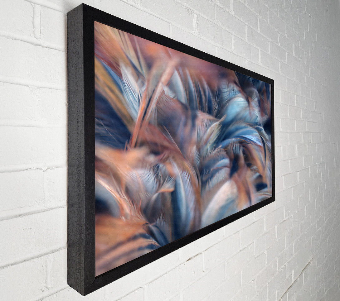  A Canvas Print of Custer of feathers Canvas Wall Art