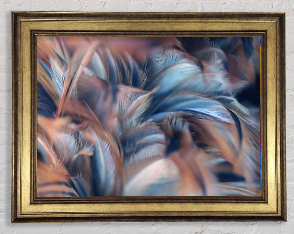 Custer of feathers Framed Print