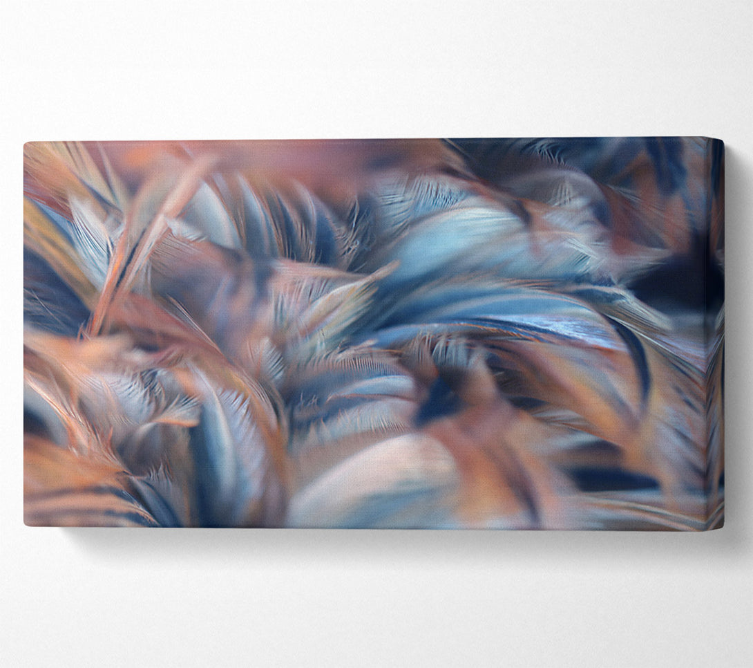  A Canvas Print of Custer of feathers Canvas Wall Art