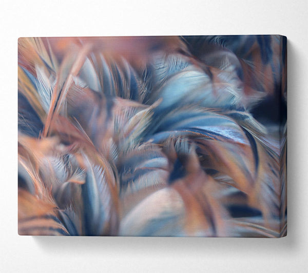  A Canvas Print of Custer of feathers Canvas Wall Art