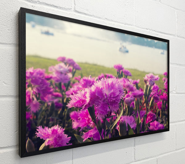 Pink flowers in the countryside