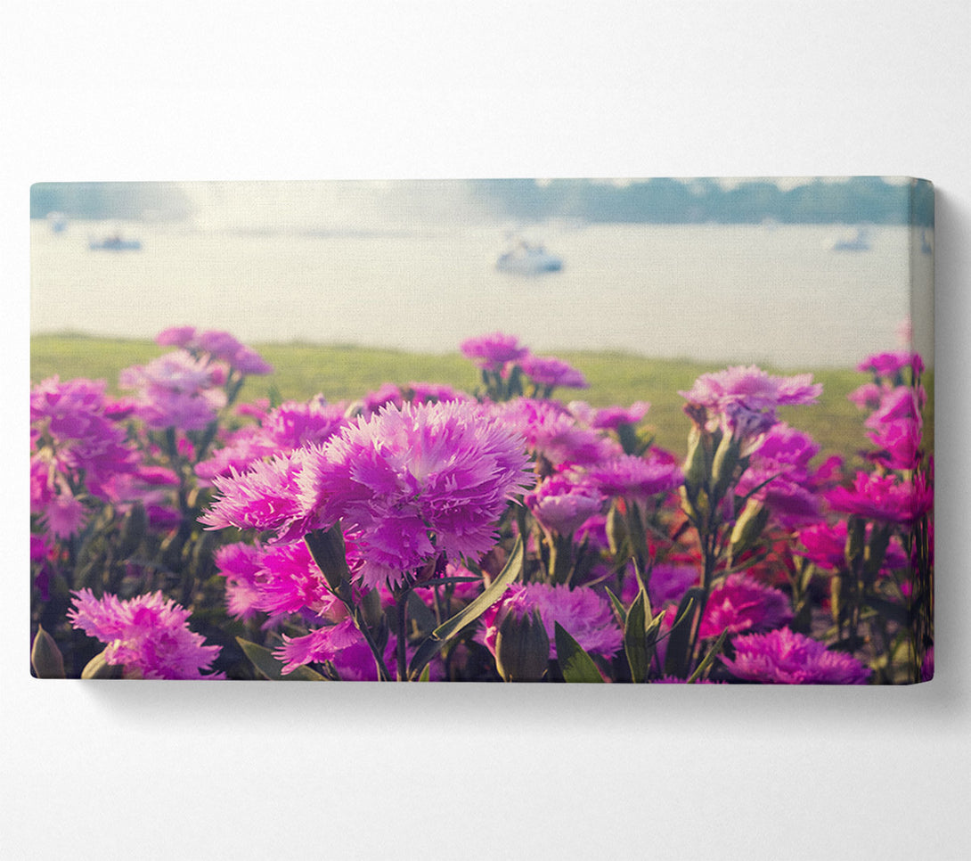  A Canvas Print of Pink flowers in the countryside Canvas Wall Art