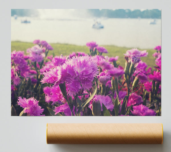 Pink Flowers In The Countryside Poster