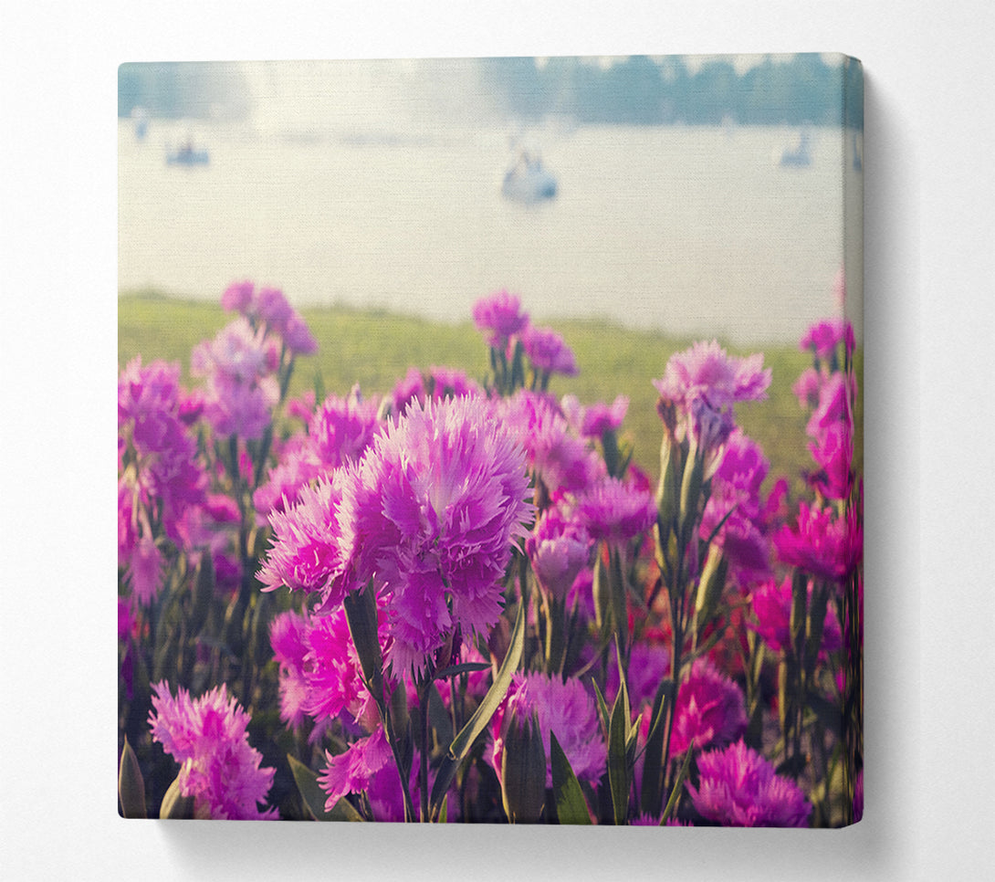  A Canvas Print of Pink flowers in the countryside Canvas Wall Art