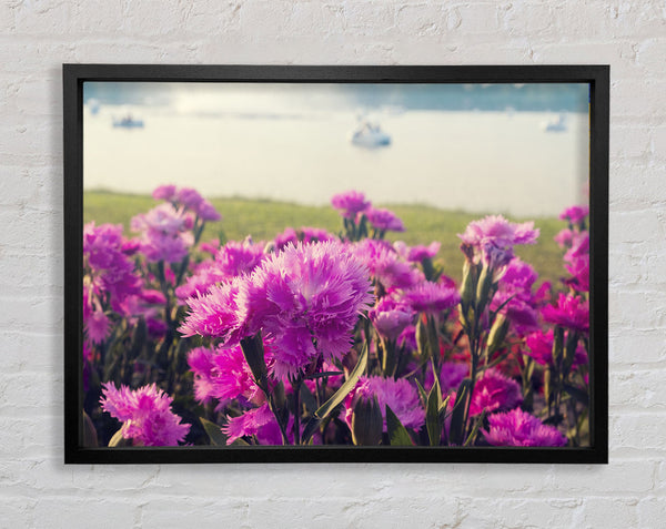 Pink flowers in the countryside Framed Print