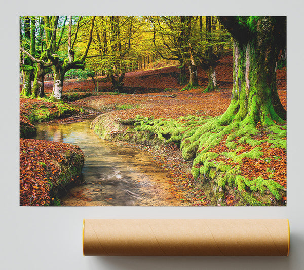 Gentle Shallow Stream Woodland Print