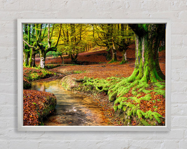 Gentle shallow stream woodland Framed Print