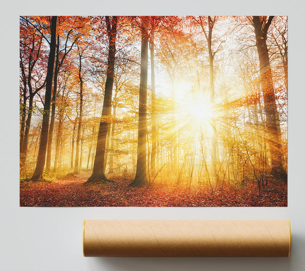Great British Autumn Woodland Print