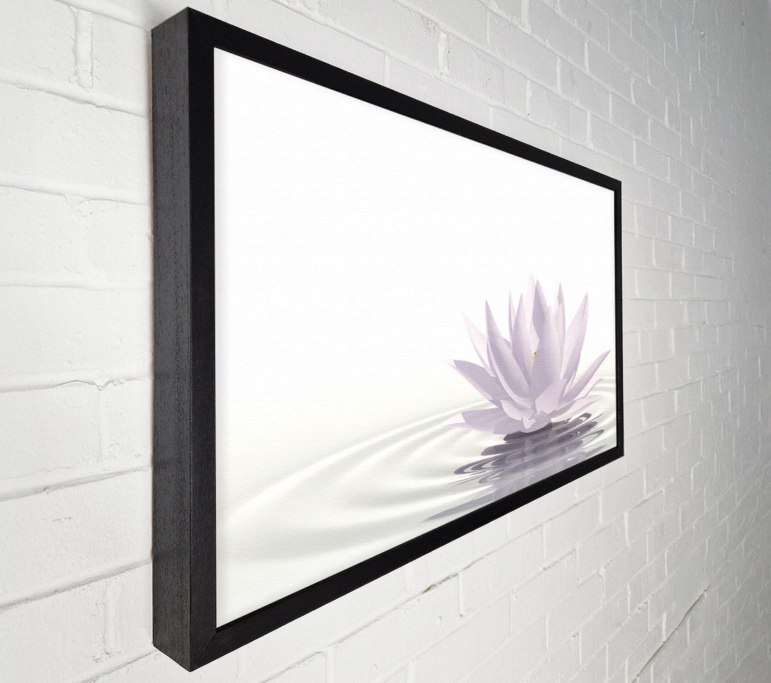  A Canvas Print of White lotus on rippled water Canvas Art