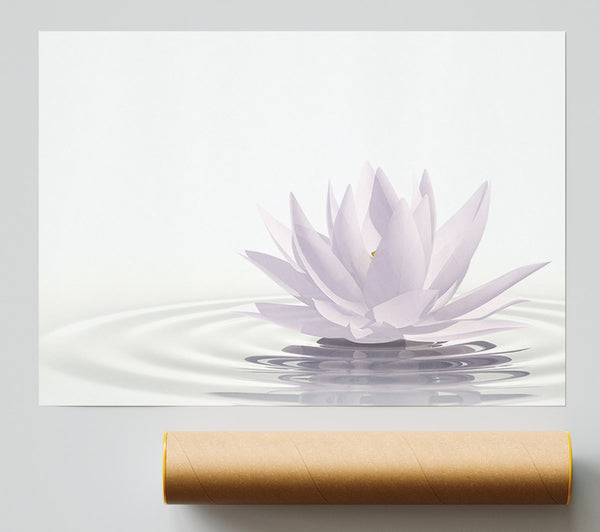 White Lotus On Rippled Water Giclee Print