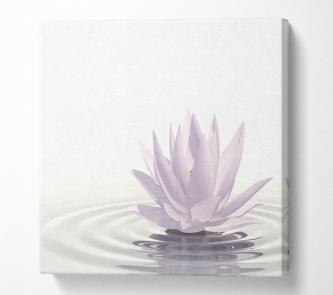  A Canvas Print of White lotus on rippled water Canvas Art