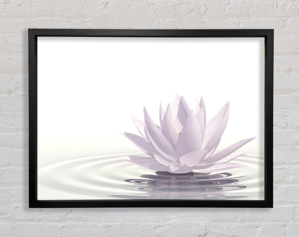 White lotus on rippled water Framed Print