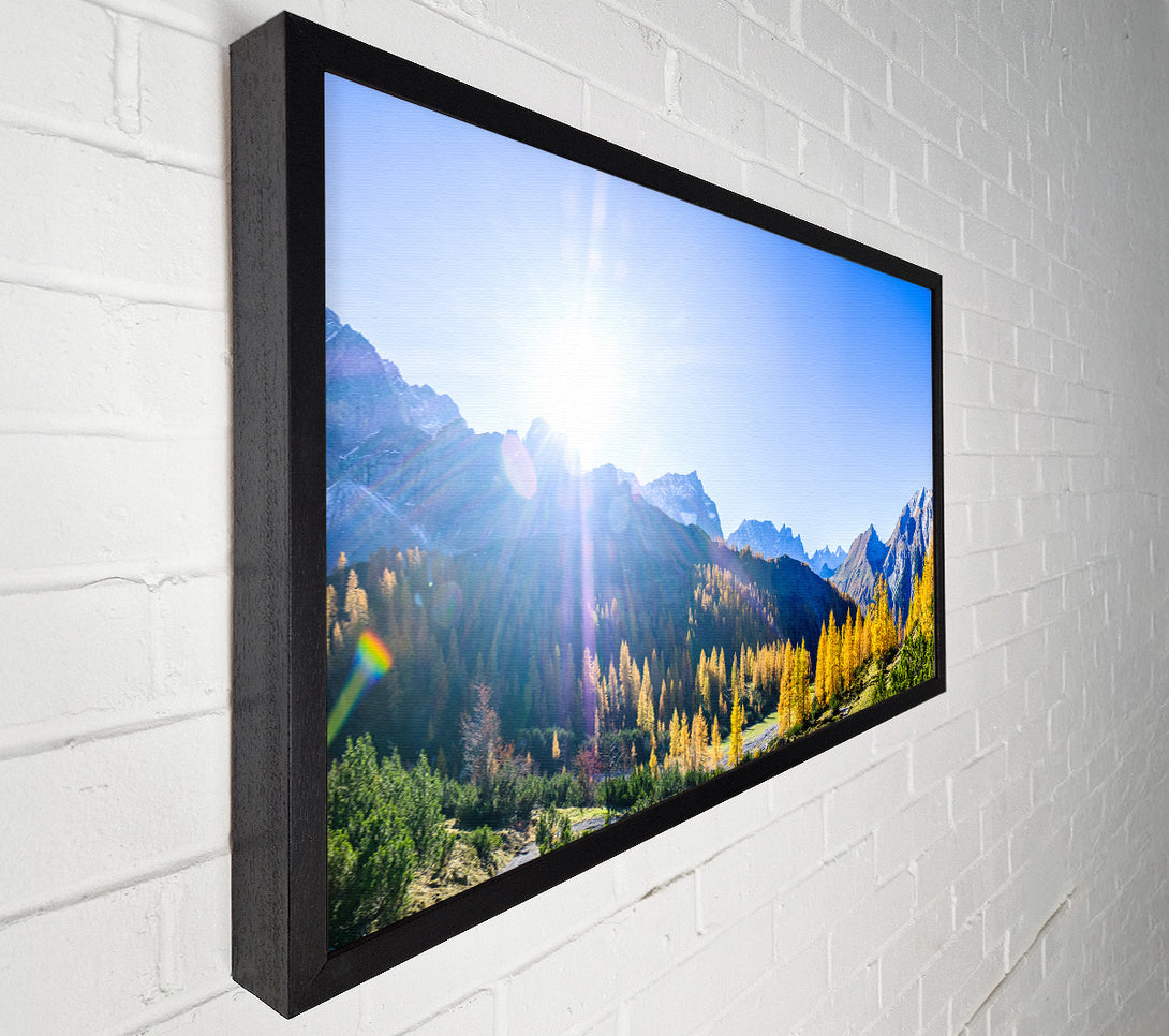  A Canvas Print of Mountain view of tall trees sunrise Canvas Wall Art