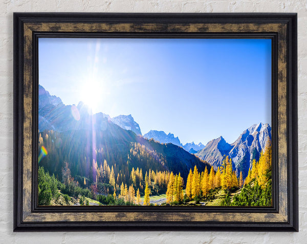 Mountain view of tall trees sunrise Framed Print