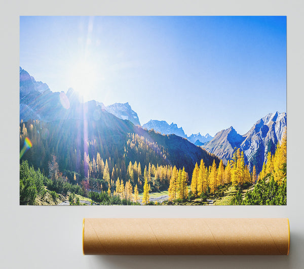 Mountain View Of Tall Trees Sunrise Giclee Print