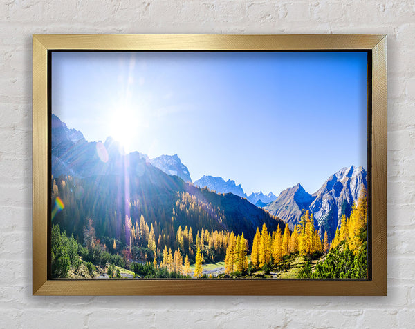 Mountain view of tall trees sunrise Framed Print
