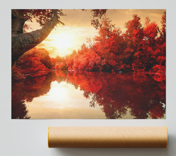 Stunning Red Forest Reflections In The River Print